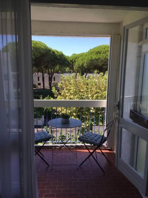 Apartment T2 Tres Agreable Et Proche De La *